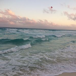 Meet your Posher, Sonia